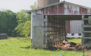 How a Custom Garden Shed Can Boost Your Home’s Functionality